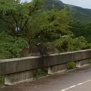 Meet your Posher, To